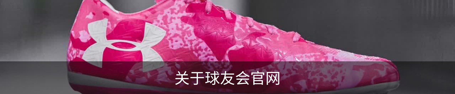 关于球友会官网